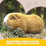 Rosewood Nibble Leaves Veggie Treats for Rabbits & Small Animals 6pc view 6