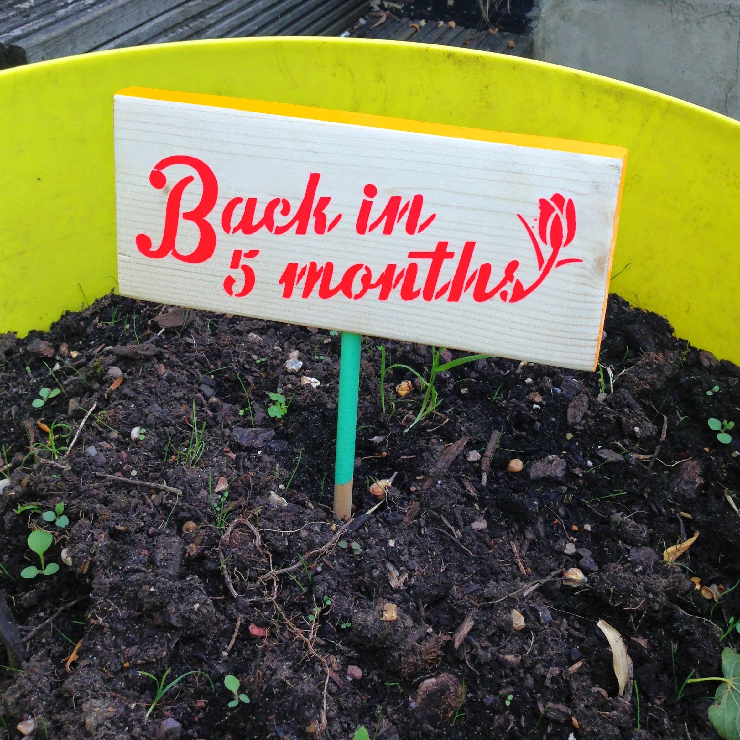 Signs of Winter (Coming soon)