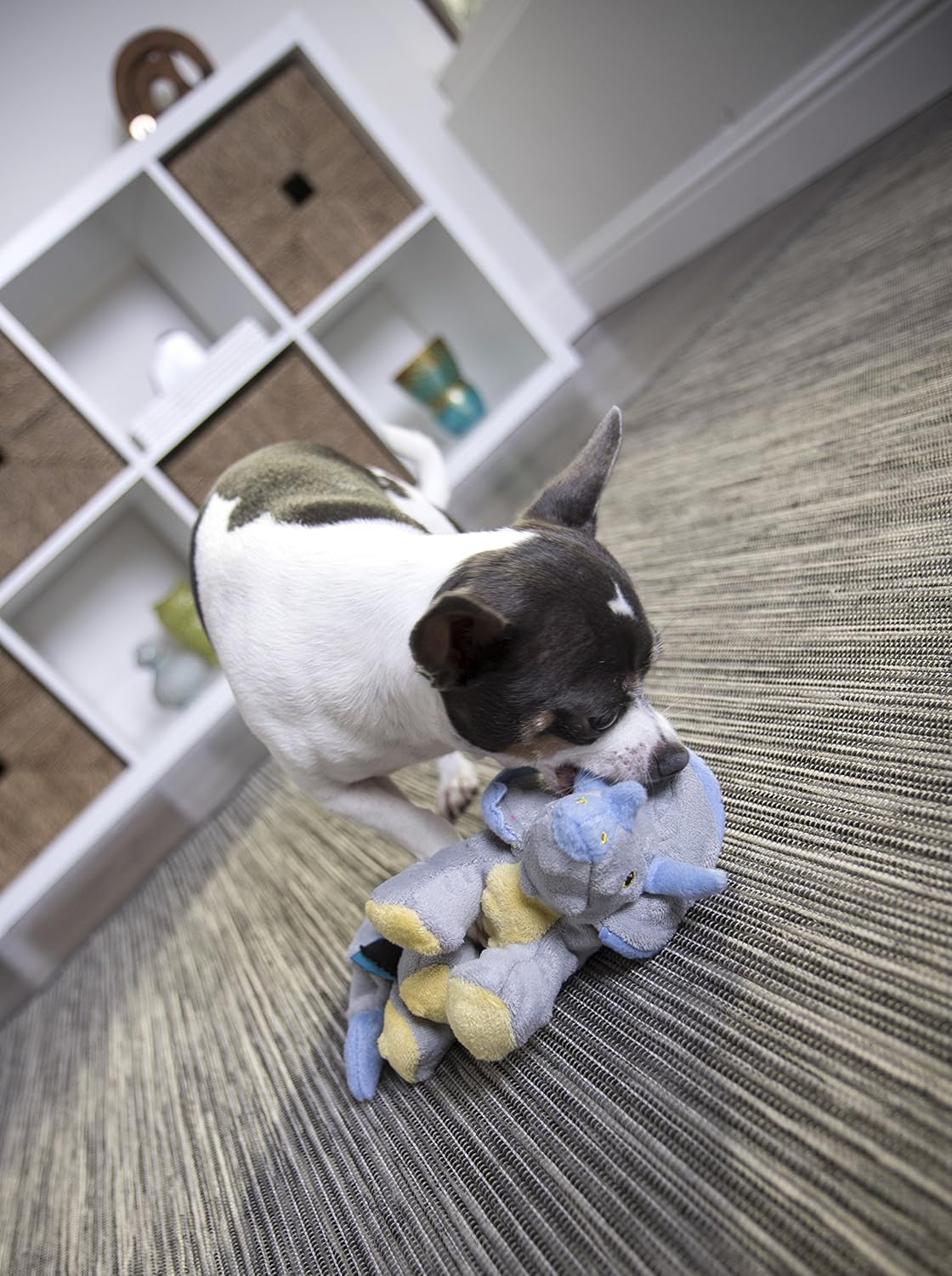 Pet Supplies : Pet Chew Toys : goDog Dinos Triceratops With Chew Guard Technology Tough Plush Dog Toy, Grey, Small : 
