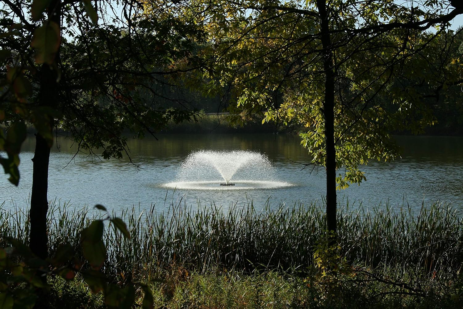 Kasco 1/2HP VFX Series Aerating Pond Fountain – 120V, single phase, 50 ft power cord – 2400VFX050 : Free Standing Garden Fountains : Garden & Outdoor
