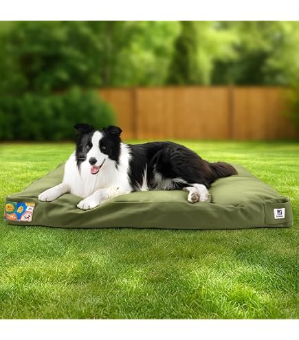 Amazon.com : Carhartt Durable Canvas Pet Bed, Water Resistant Firm