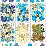 Dried Flowers, Resiners 174Pcs Pressed Flowers for