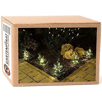 5x Tanne Mit Led Beleuchtet Für Blumenkasten Garten Deko Weihnachten Von Gartenpirat
