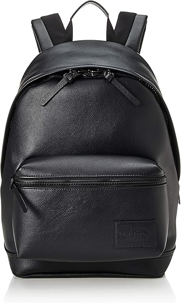 the north face mini backpack