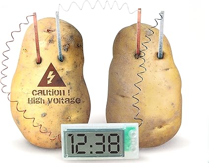Amazon Com Freshgadgetz Potato Clock Green Science Project Experiment Kit With Retail Cardboard Folded Toys Games