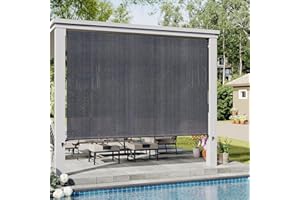 VICLLAX Outdoor Roller Shade, Patio Cordless Roller Blinds, Exterior Roll Up Shade (8' W X 8' L), Grey