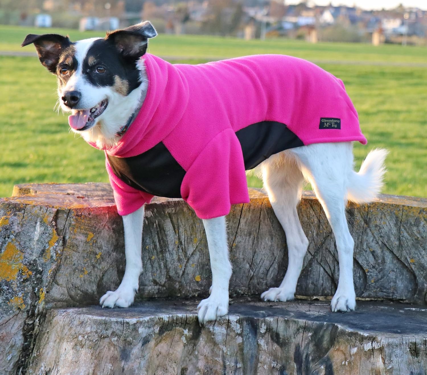 Glenndarcy dog fleece Clearance