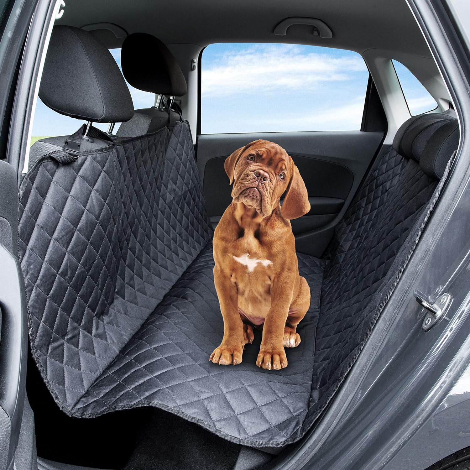 best dog back seat cover