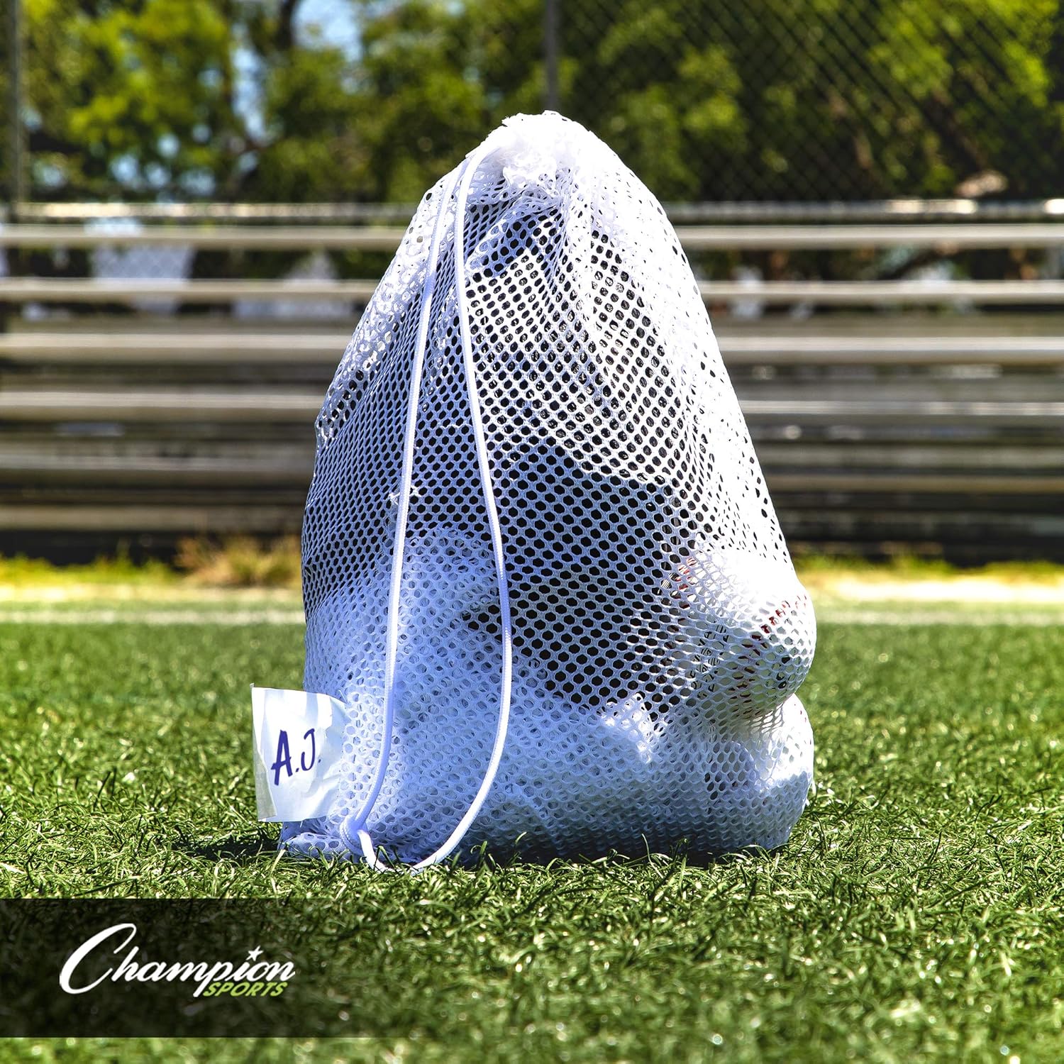 Visit the Champion Sports Store