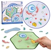 GiftAmaz Animal and Plant Cell Anatomy Model, Soft Felt Science Model Toy | Early Cell Biology and Life Science STEM Toy, Classroom Teaching Aid, Educational Learning Activities Birthday Toy for Kid 6+