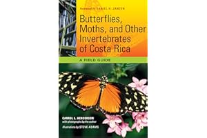 Butterflies, Moths, and Other Invertebrates of Costa Rica: A Field Guide