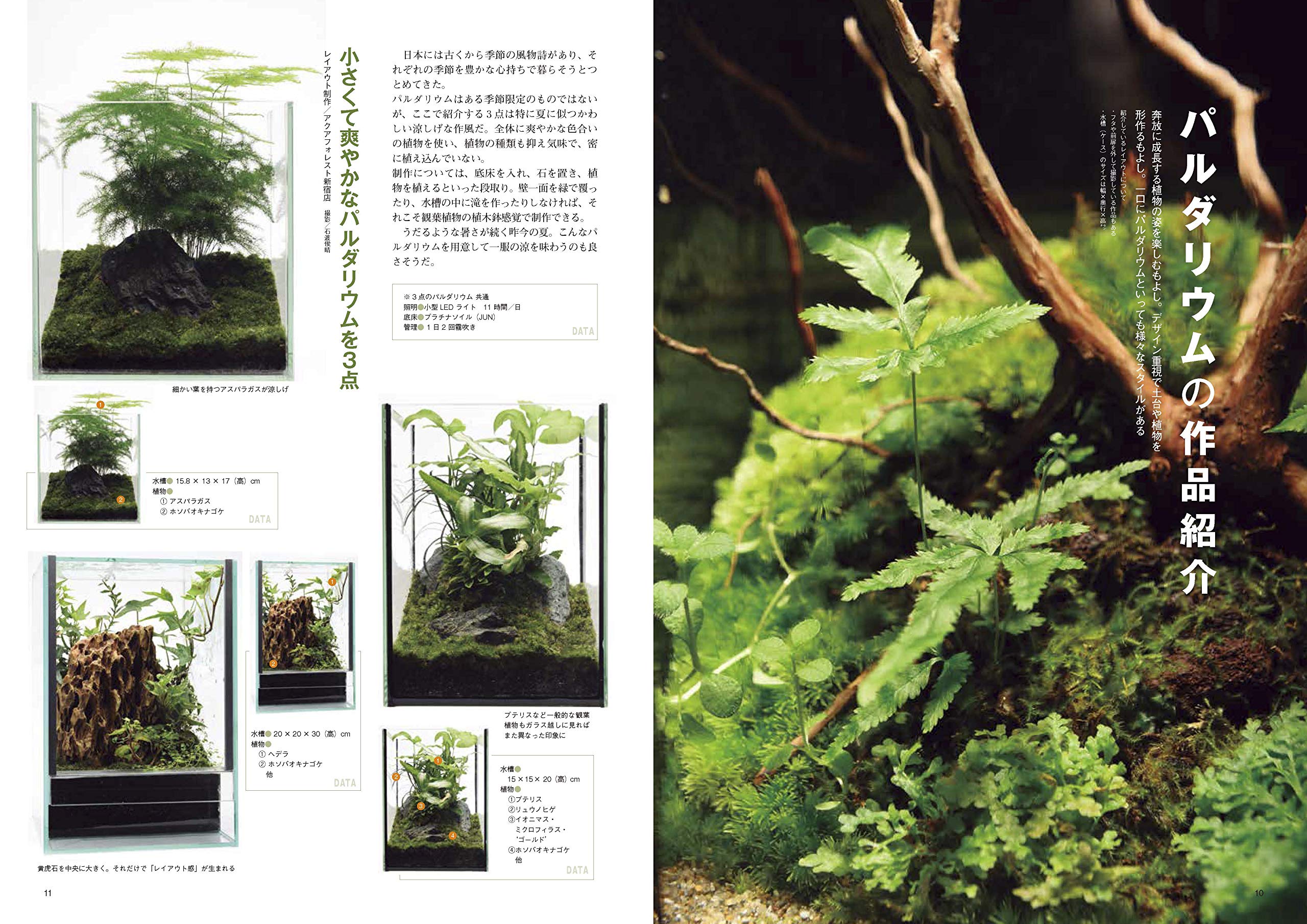 パルダリウムとアクアテラリウム アクアライフ合本 本 通販 Amazon