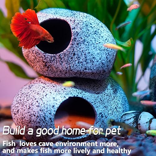 cichlid fish tank accessories Aquarium Corner Cave Hide Axolotl Cave Accessories, Corner Fish Aquarium Cave Hide with Viewing Window, Terrarium/ Aquarium Underground Natural Cave : Pet Supplies Advice for Use Aquascaping With African Cichlid -
