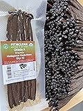 12 Organic Madagascar Vanilla Beans Grade