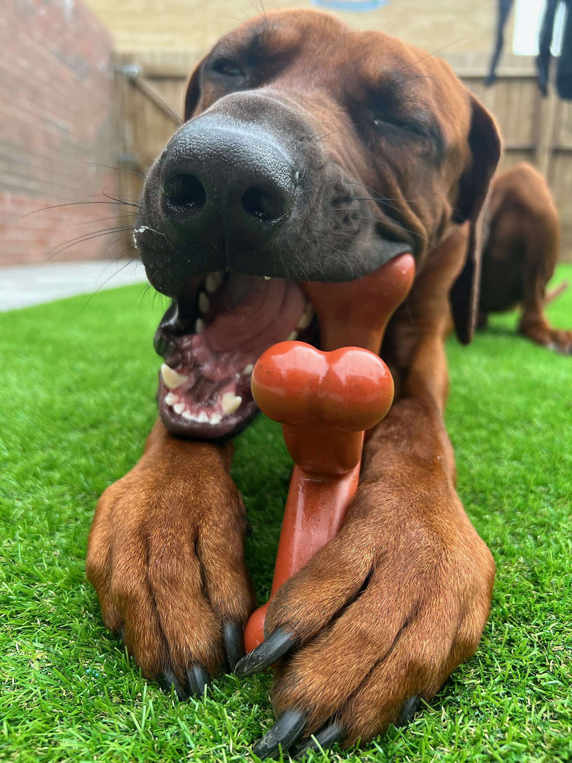 View 5