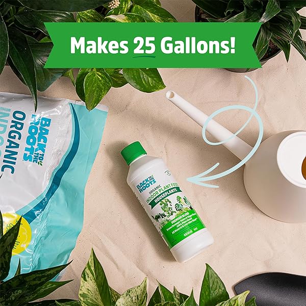 BACK TO THE ROOTS NATURAL & ORGANIC INDOOR PLANT FOOD (16OZ VALUE SIZE – 95 FEEDS!), GREAT FOR HOUSEPLANTS, LOW ODOR, VEGAN, EASY TO APPLY LIQUID FORMULA