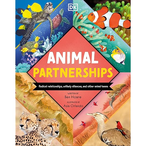 Animal Communication DVD・テキストブック Animal Communication DVD・テキストブック - メルカリ