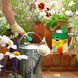 Miracle-Gro All Purpose Water Soluble Plant Food 1 kg view 4