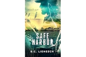 Safe Harbor (The Jackson Clay & Bear Beauchamp Series Book 5)