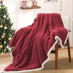 BEAUTEX Sherpa Throw Blanket, Super Soft Red