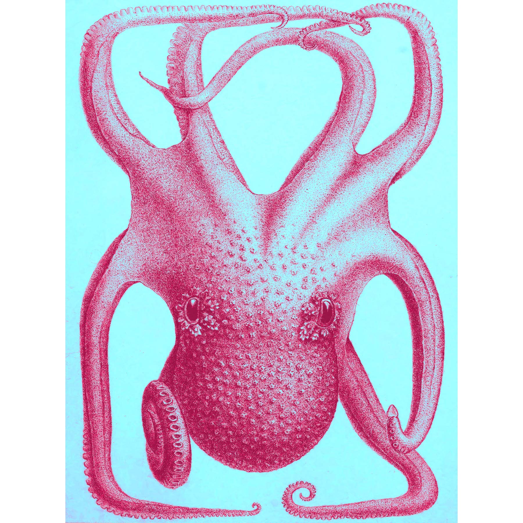 Pink Octopus Illustration Large Wall Art Print Canvas Premium Poster