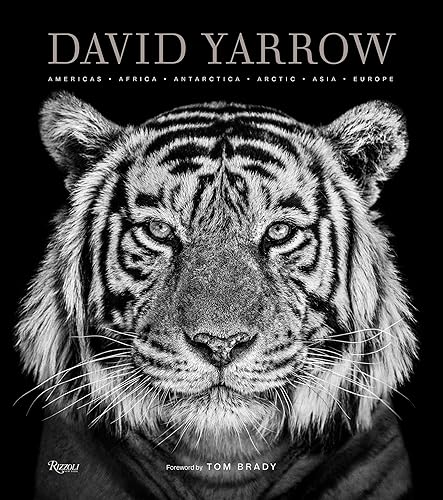 Download David Yarrow Photography: Americas Africa Antarctica Arctic Asia Europe PDF