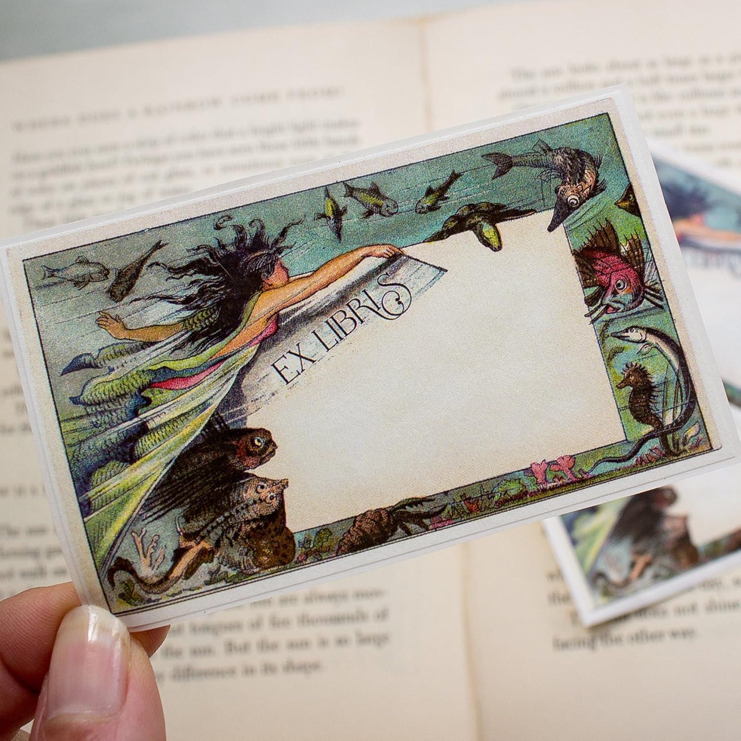Self Bookplates Adhesive Books For Labels Book Mermaid Personalized Of 