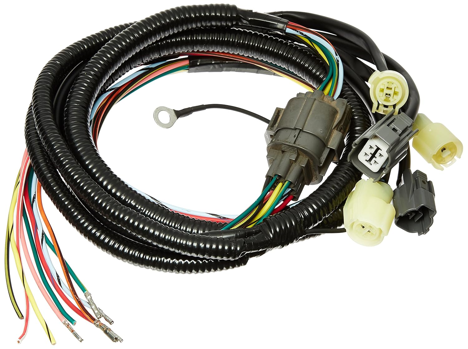 Amazon.com: Hasport (EGCX-GSR) Wiring Sub-Harness for VTEC Engine:  Automotive