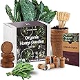Organic Indoor Lettuce & Greens Garden Starter Kit - Certified USDA Organic Non GMO - Includes Spinach, Kale, Red Romaine, Loose Leaf Lettuce Seeds for Planting, Potting Soil, Peat Pots