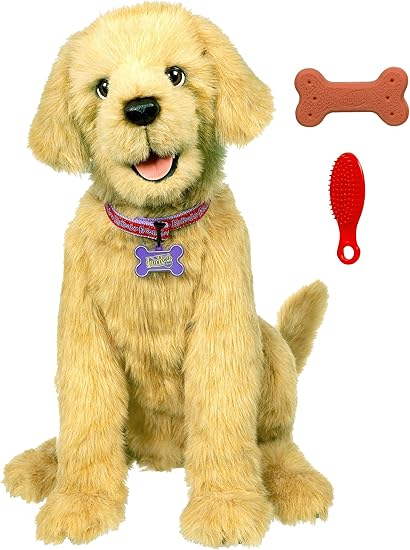 foam football with tail