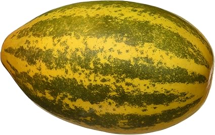 Fresh Cucumber, Madras, 500g Pack