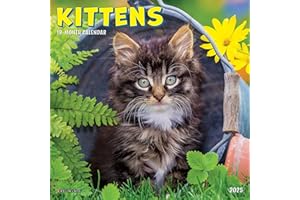 Kittens 2025 7" x 7" Mini Wall Calendar