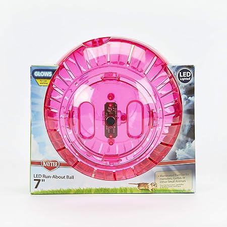 kaytee run about ball 7