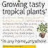 Growing Tasty Tropical Plants in Any Home, Anywhere: (like lemons, limes, citrons, grapefruit, kumquats, sunquats, tahitian oranges, barbados ... black pepper, cinnamon, vanilla, and more...)