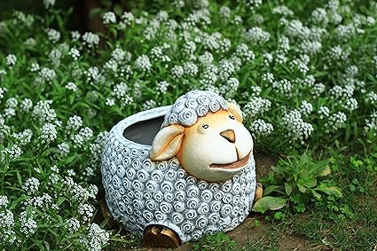 Maatti Sheep Planter