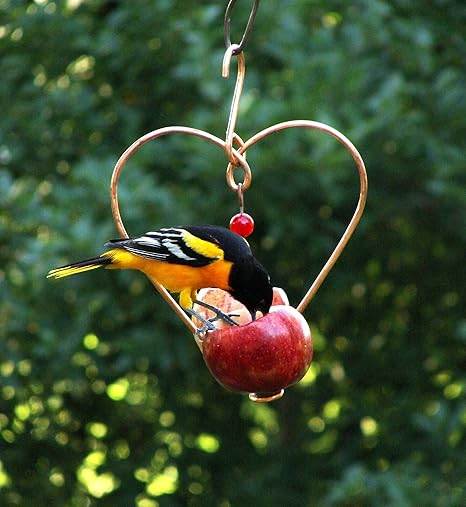 Songbird Essentials Love Birds Decorative Heart Shaped 2 Fruit