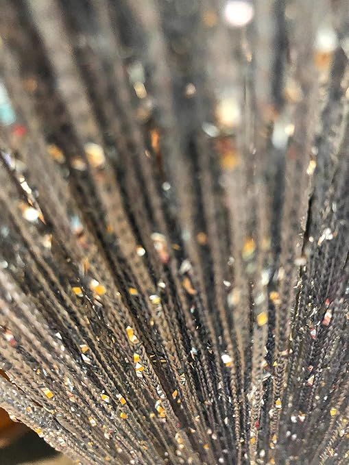 Amazon Com Hysenm 2 Pack Glitter String Curtains 39x79 Inch