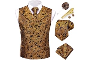 Hi-Tie Men's Suit Vest Business Formal Waistcoat Paisley Jacquard Tie Suit Waistcoat Set for Wedding Party