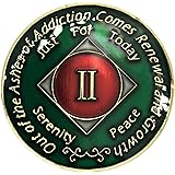 NA AA 2 Year Clean Time 14K Gold & Epoxy Tri Plated,Coin, Medallion | Simply Minimal