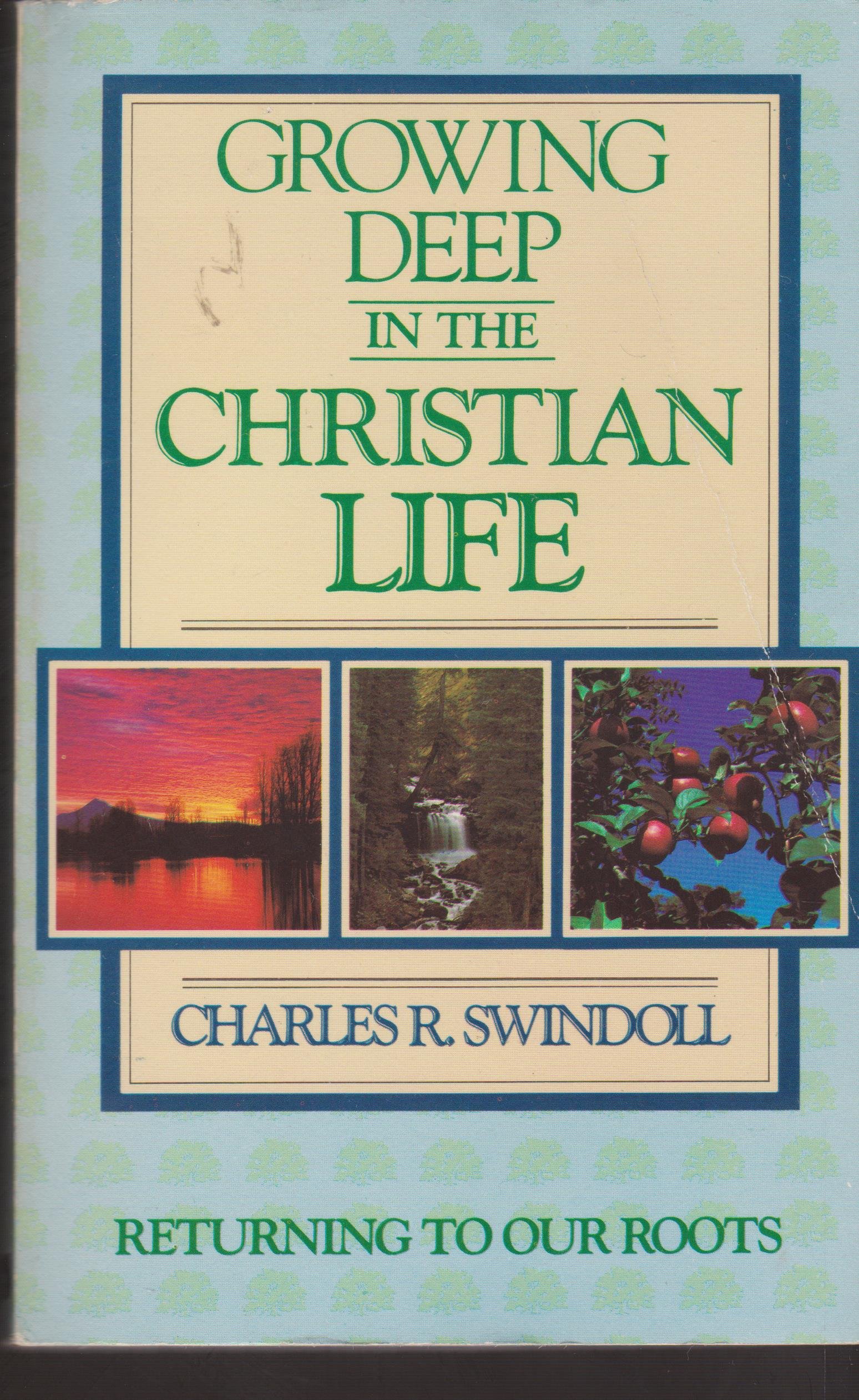 Cover of Growing Deep in Christian Life