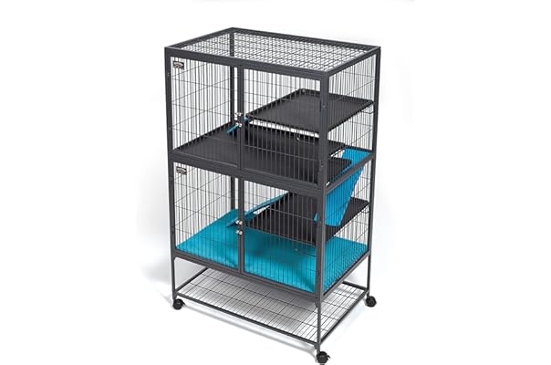 range rover pet barrier