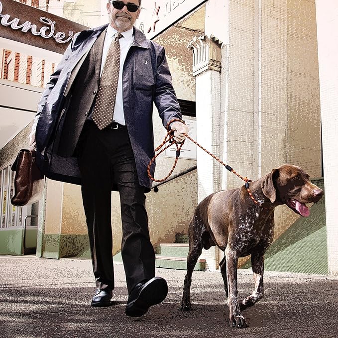 Luca rope leash Clearance