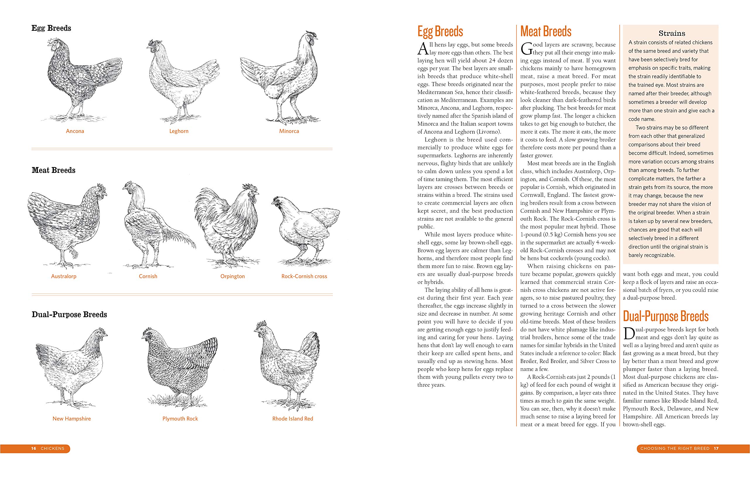 The Backyard Homestead Guide To Raising Farm Animals Choose The Best Breeds For Small Space Farming