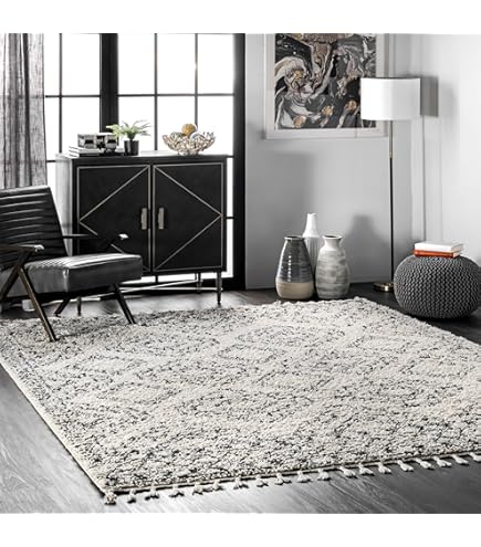 Amazon.com: Nuloom Vasiliki Off-White/Charcoal, 7'10