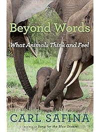 Beyond Words: What Animals Think and Feel
