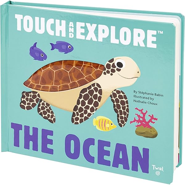 Amazon.com: Touch and Explore: Animals at Night: 9782408015985
