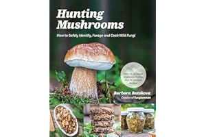 Hunting Mushrooms: How to Safely Identify, Forage and Cook Wild Fungi