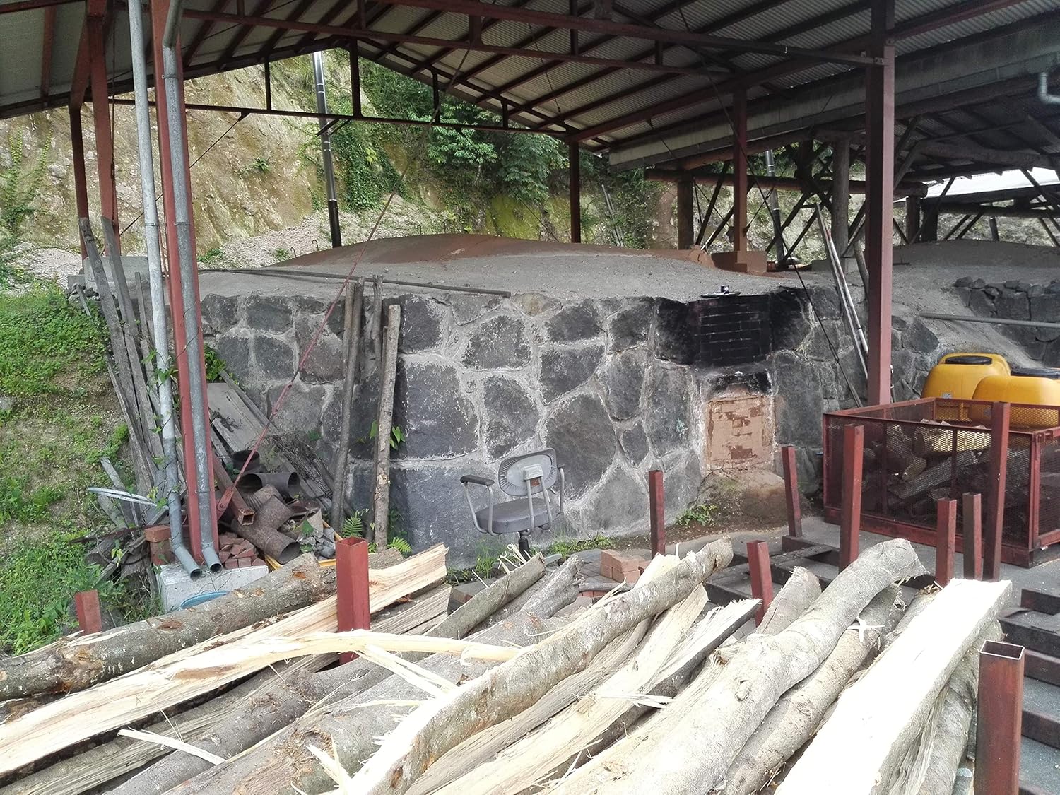 Amazon 飲む 食べる 竹炭粉 粉末タイプ 100グラム入り ナカムラ商会 サプリメント ビタミン