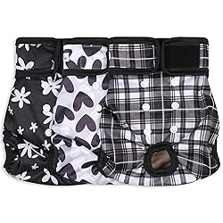 Female Dog Diapers - Premium Reusable Diapers for