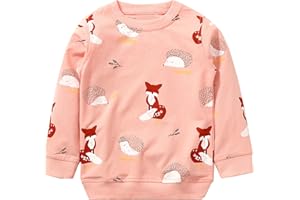 Bumeex Toddler Girl Sweatshirt Clothes Outfit,Cotton Crewneck Christmas Clothing